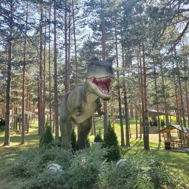 Dino park